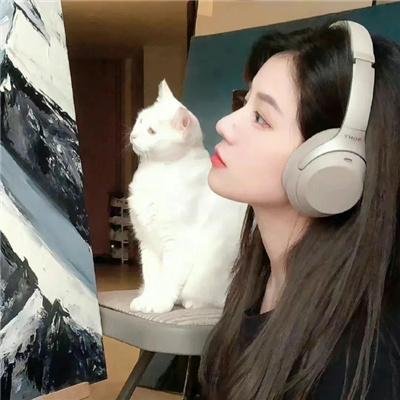 这不是一部电影海报