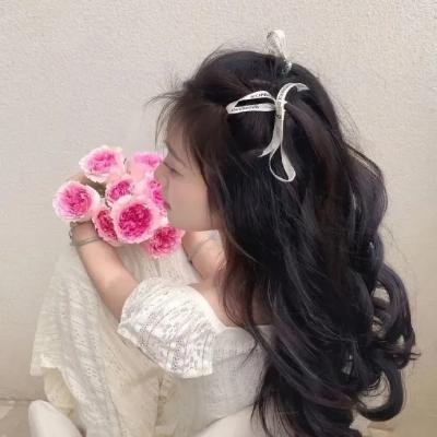 玉贞姐姐海报